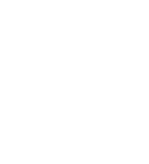 Sires Foods